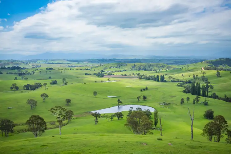 39 Atkins Anderson Road, Wolumla NSW 2550
