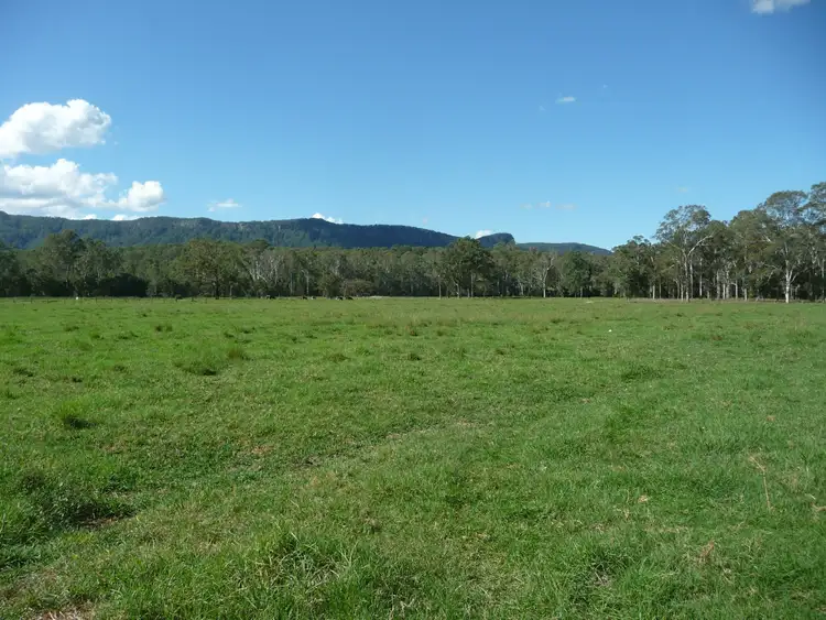 Fourth view of Homely rural property listing, 511 Central Lansdowne Road, Lansdowne NSW 2430