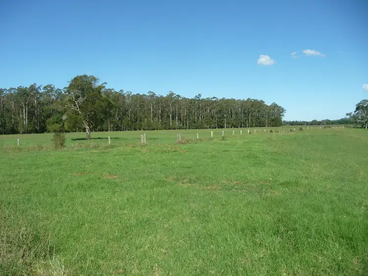 Fifth view of Homely rural property listing, 511 Central Lansdowne Road, Lansdowne NSW 2430