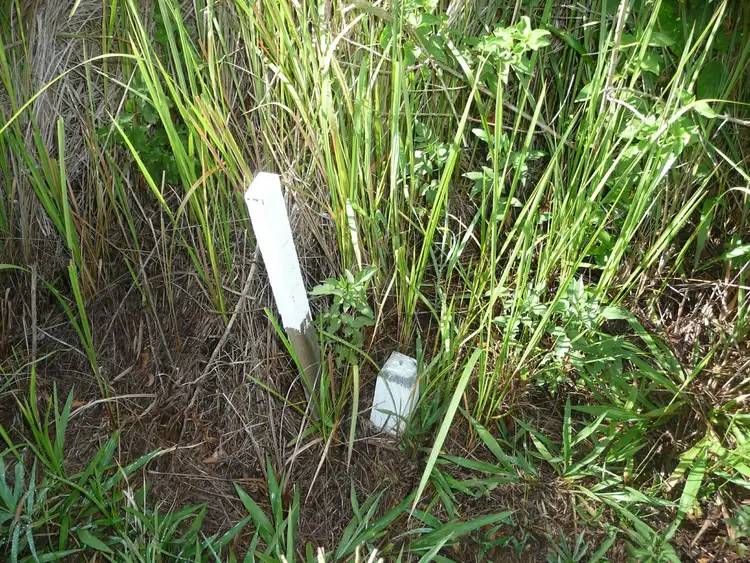 Fifth view of Homely rural property listing, 1808 Lansdowne Road, Langley Vale NSW 2426