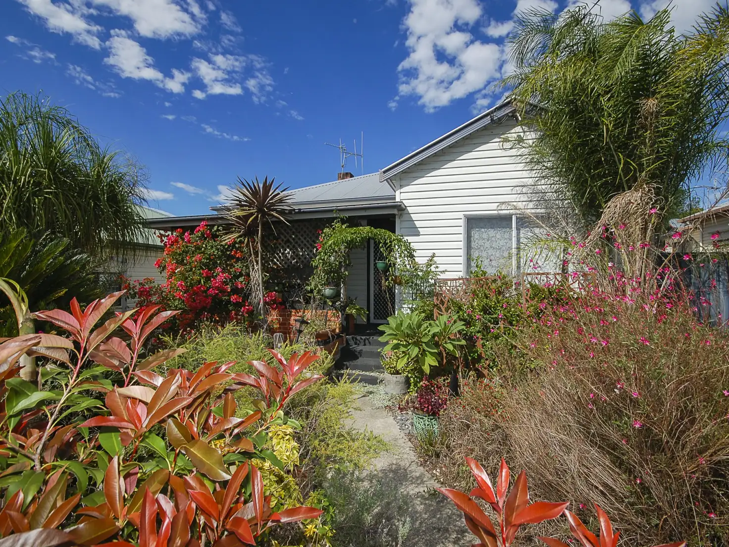 Main view of Homely house listing, 6 Fotheringham Street, Wingham NSW 2429