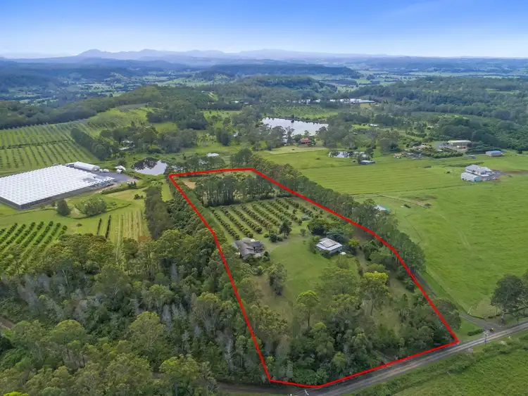 358 Fredericks Road, Caniaba NSW 2480