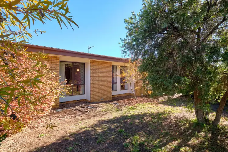 Third view of Homely townhouse listing, 3/1 Cantor Crescent, Higgins ACT 2615