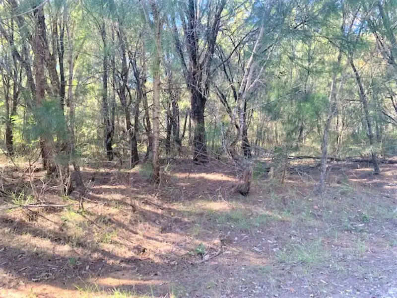 Main view of Homely land listing, 37 Tahlin Drive, Russell Island QLD 4184