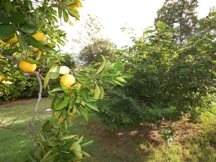 Third view of Homely house listing, 12 Tyrone Street, Wingham NSW 2429