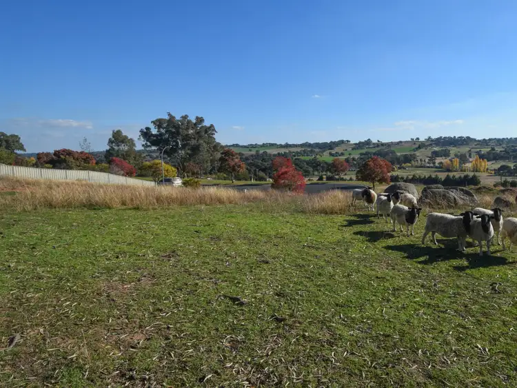 14 Bailes Crescent, Young NSW 2594