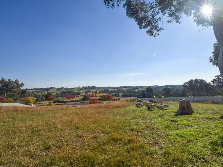 Seventh view of Homely land listing, 14 Bailes Crescent, Young NSW 2594