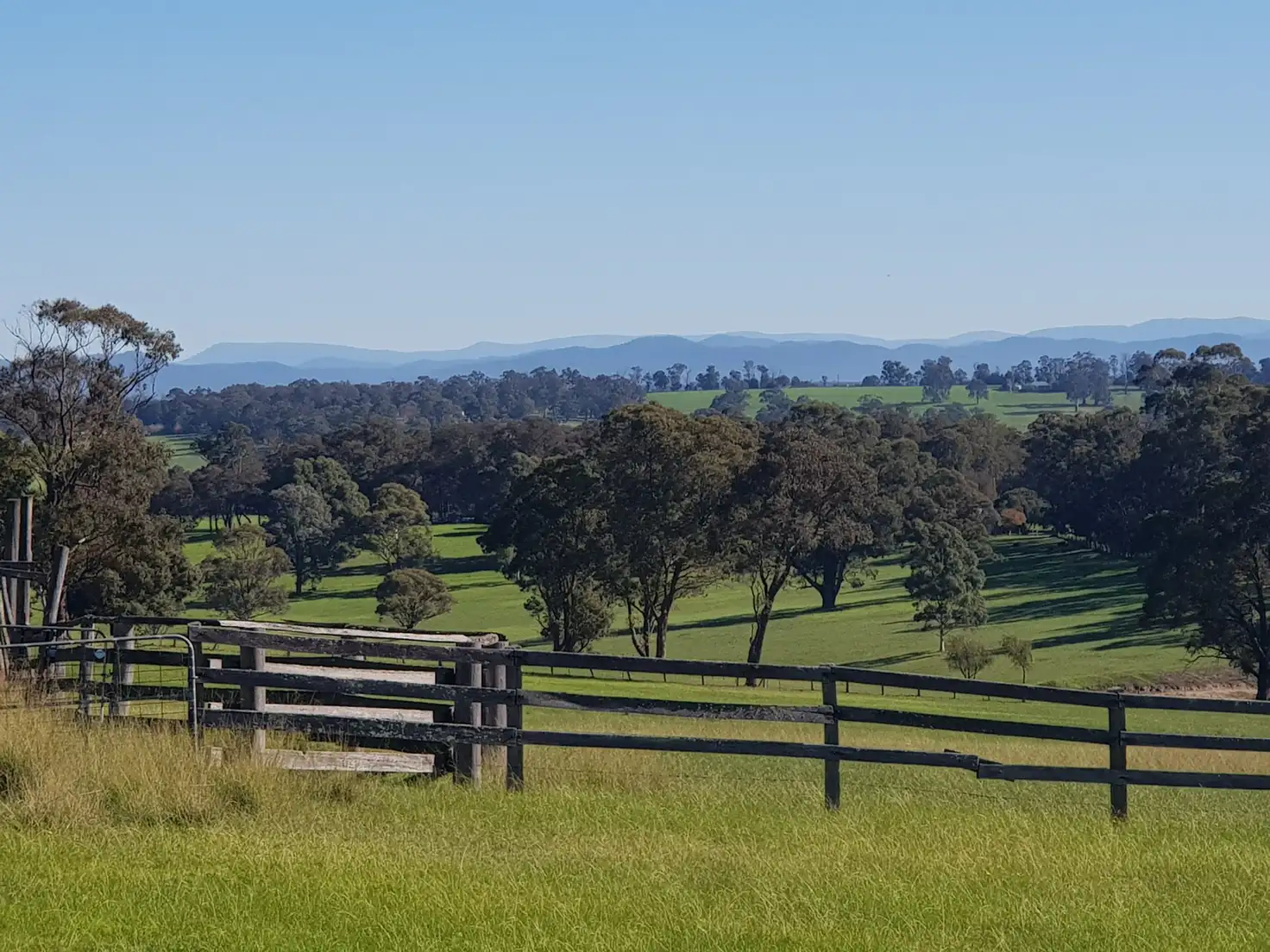 Main view of Homely house listing, 265 Boggy Creek Road, Flaggy Creek VIC 3875