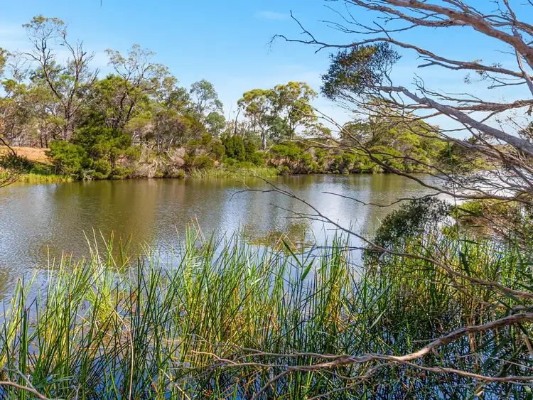 Sixth view of Homely house listing, 16478 TASMAN HIGHWAY, Bicheno TAS 7215