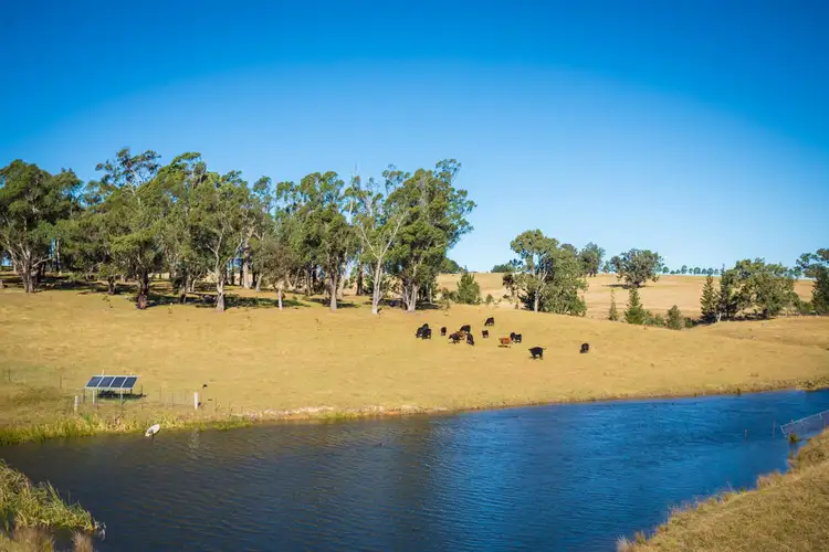 Second view of Homely rural property listing, 173 Upper Brogo Road, Verona NSW 2550