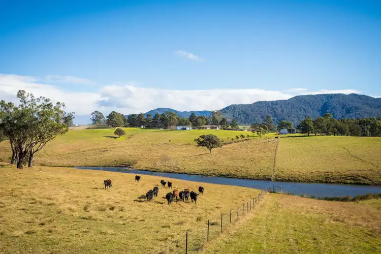 Fourth view of Homely rural property listing, 173 Upper Brogo Road, Verona NSW 2550