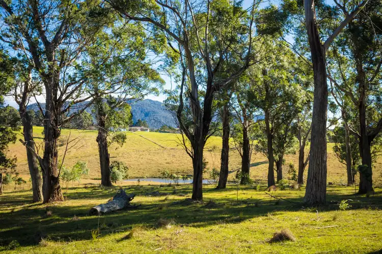 Fifth view of Homely rural property listing, 173 Upper Brogo Road, Verona NSW 2550