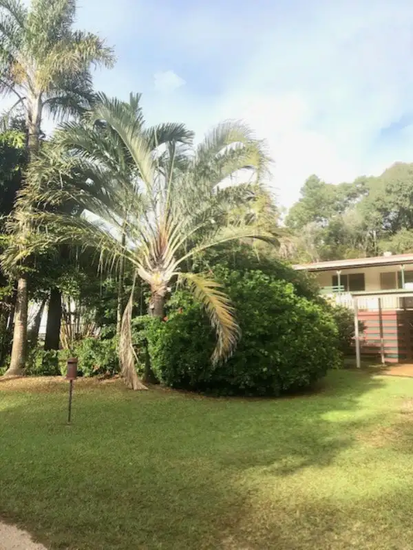 Third view of Homely house listing, 18 Granadilla Street, Macleay Island QLD 4184