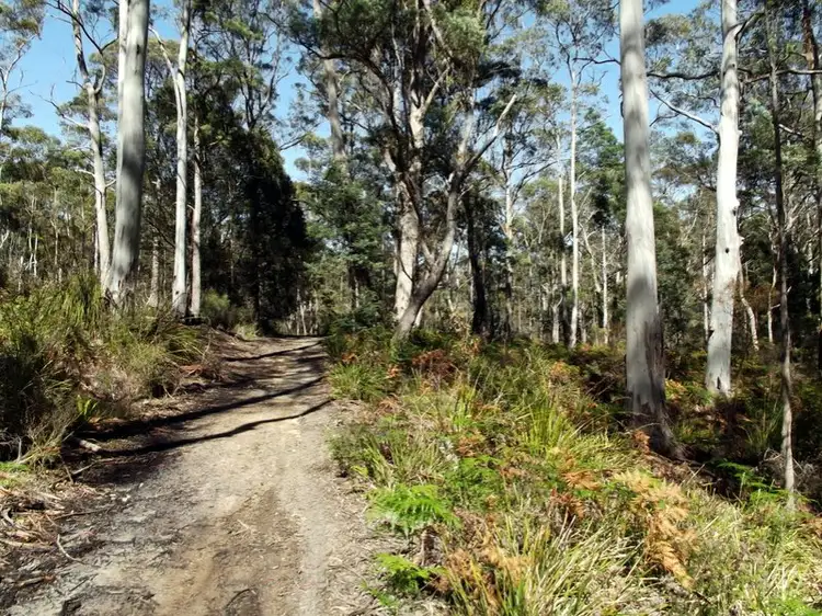 Second view of Homely land listing, 1477 Terryvale Road, Goshen TAS 7216