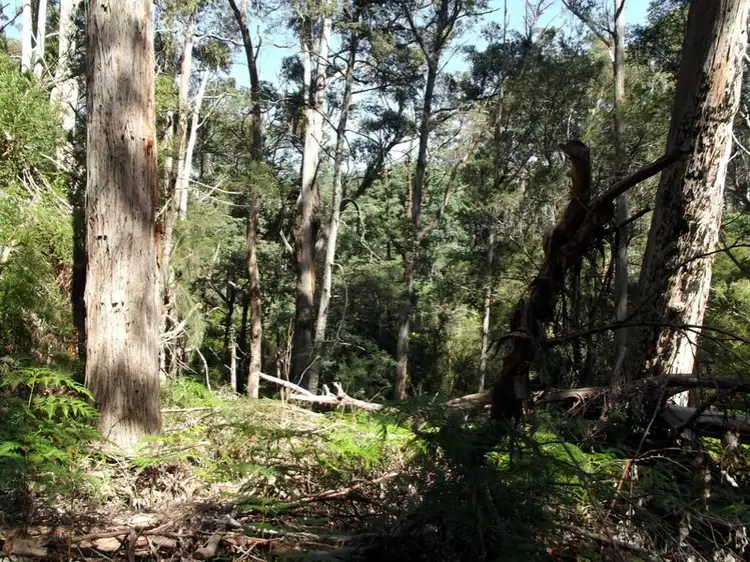 Fourth view of Homely land listing, 1477 Terryvale Road, Goshen TAS 7216