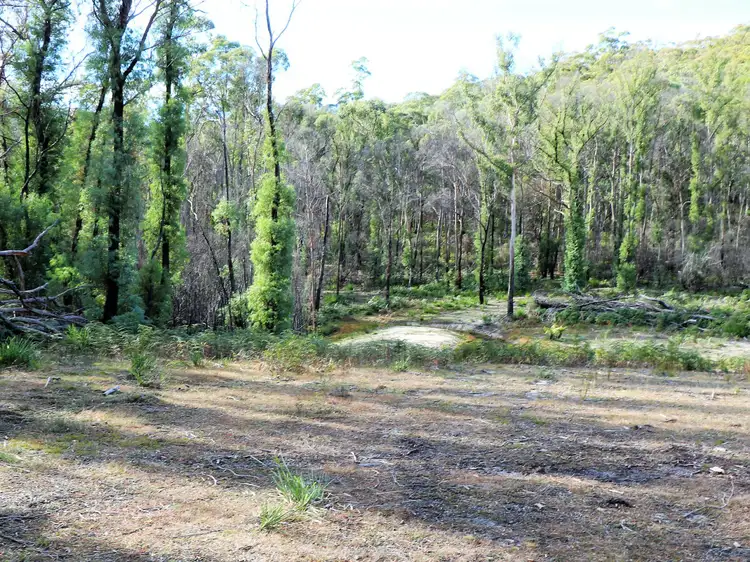 Sixth view of Homely land listing, 1477 Terryvale Road, Goshen TAS 7216