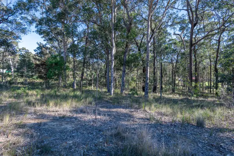 Lot 1 Misons Road, Bimbimbie NSW 2536