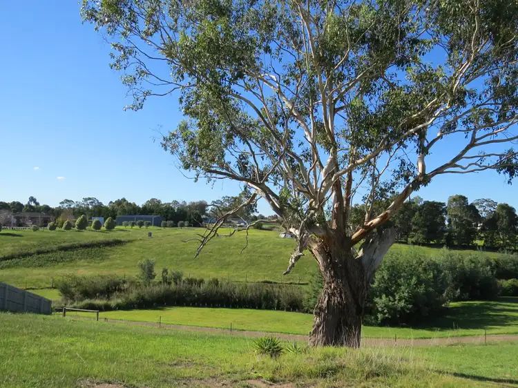 Main view of Homely land listing, 43 Eastern View Drive, Eastwood VIC 3875