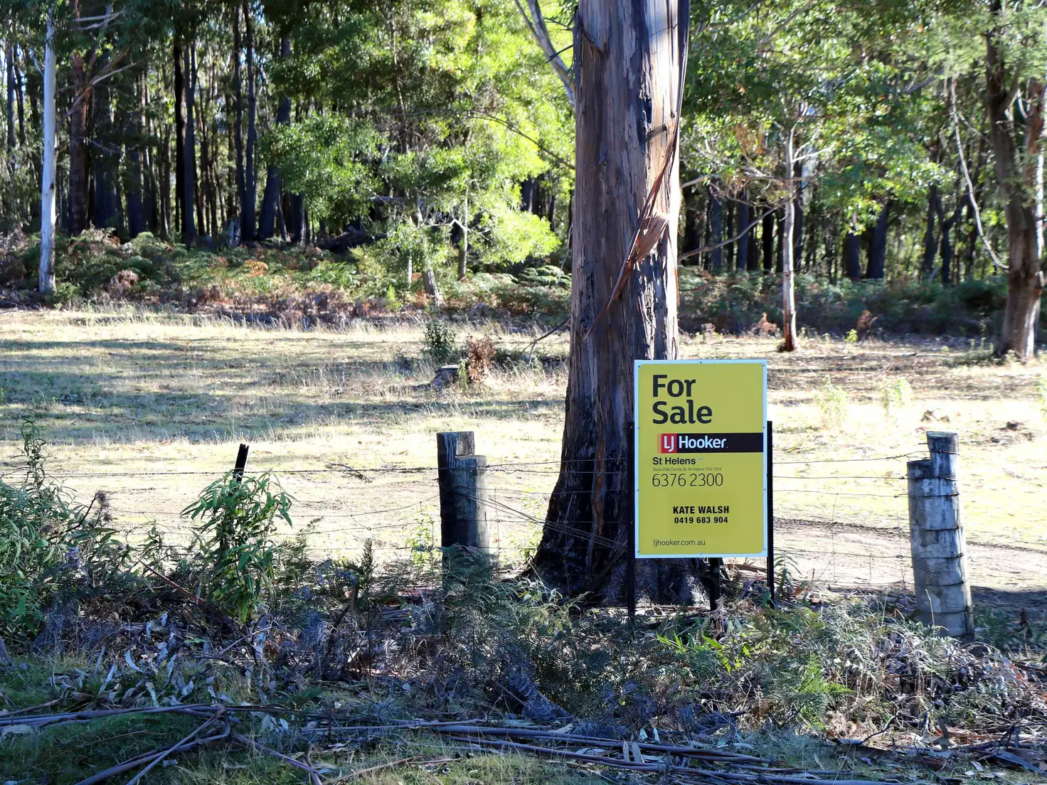 Main view of Homely land listing, 353 Germantown Road, St Marys TAS 7215