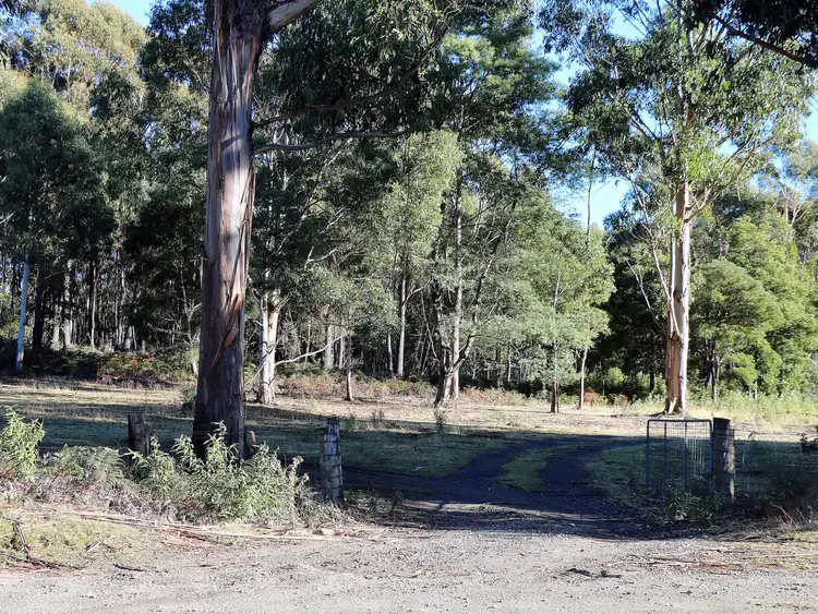 Fourth view of Homely land listing, 353 Germantown Road, St Marys TAS 7215