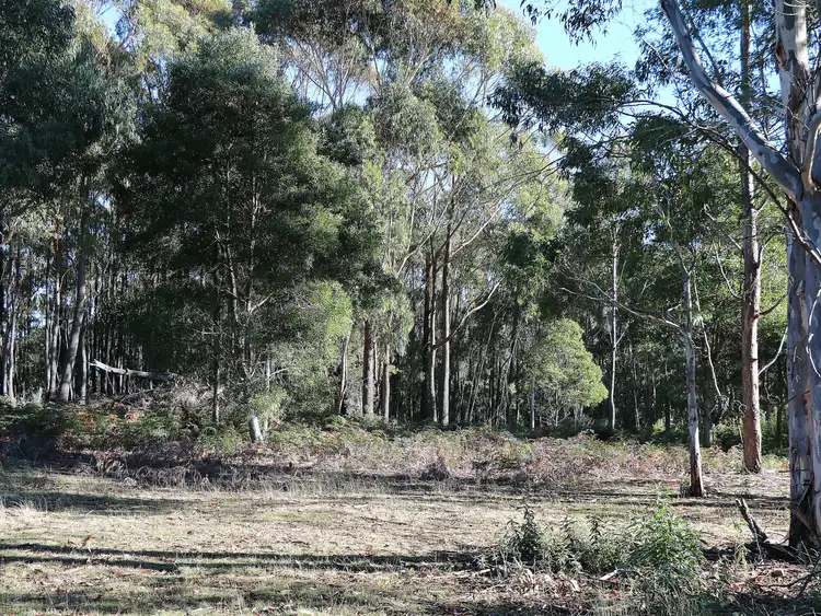 Sixth view of Homely land listing, 353 Germantown Road, St Marys TAS 7215