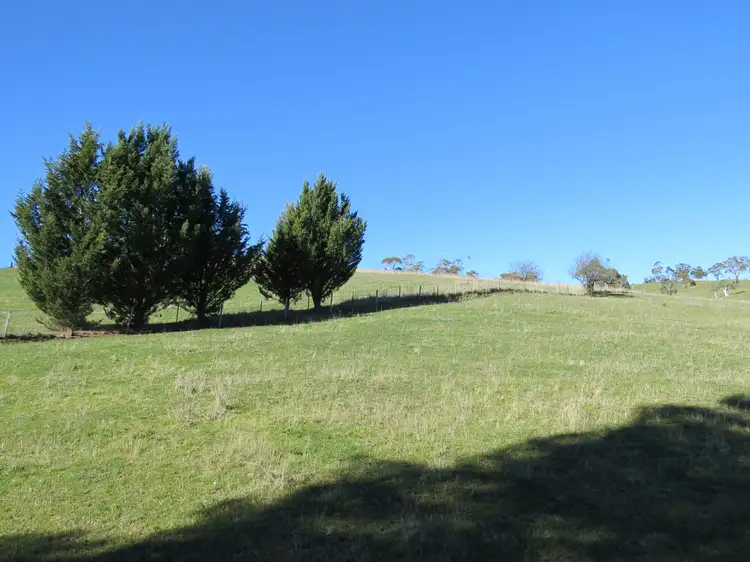 Fourth view of Homely land listing, 263 Day Avenue, Omeo VIC 3898