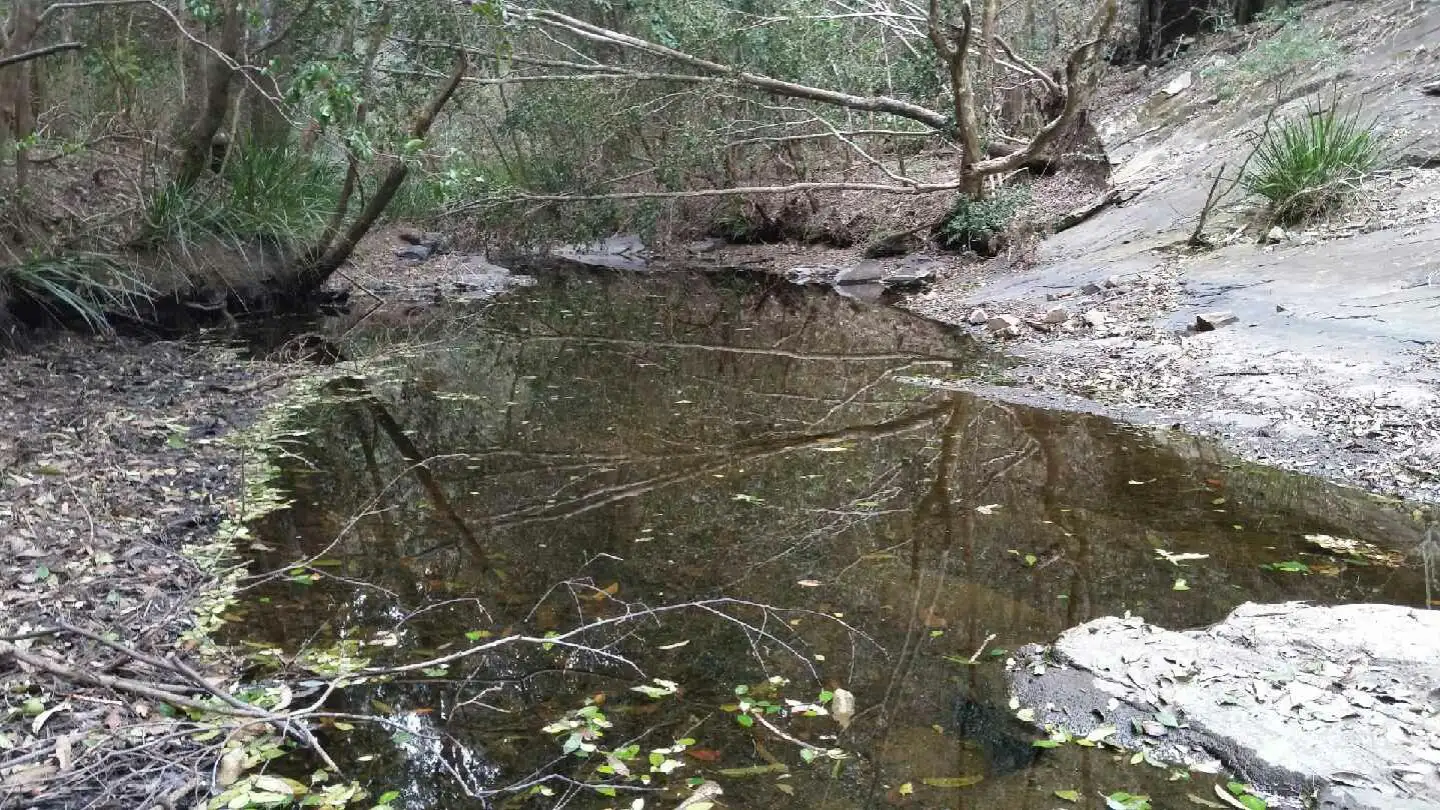 Main view of Homely rural property listing, Address available on request