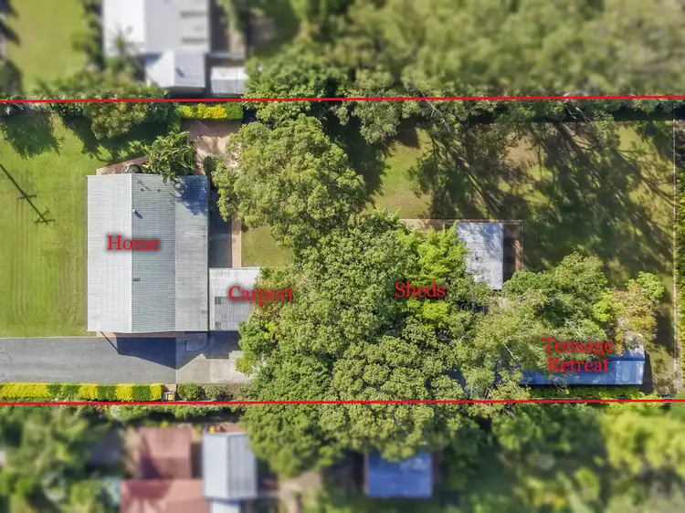 Main view of Homely house listing, 5 Platypus Street, Wamuran QLD 4512