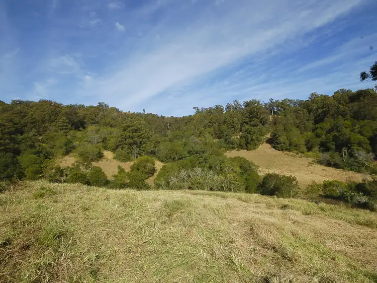 1390 Mooral Creek Road, Mooral Creek via, Wingham NSW 2429