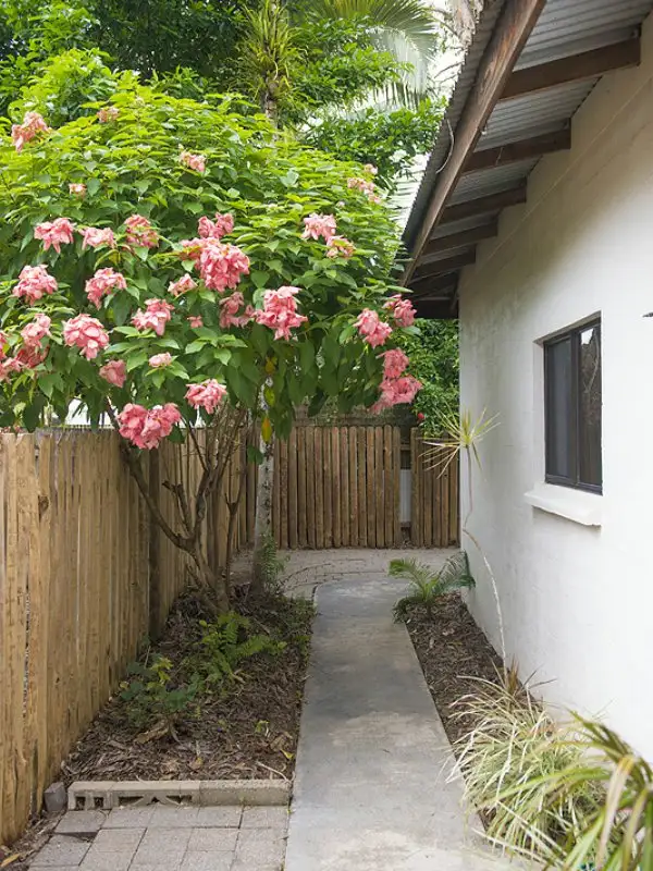 Fourth view of Homely unit listing, 1/5 Mahogany Street, Port Douglas QLD 4877