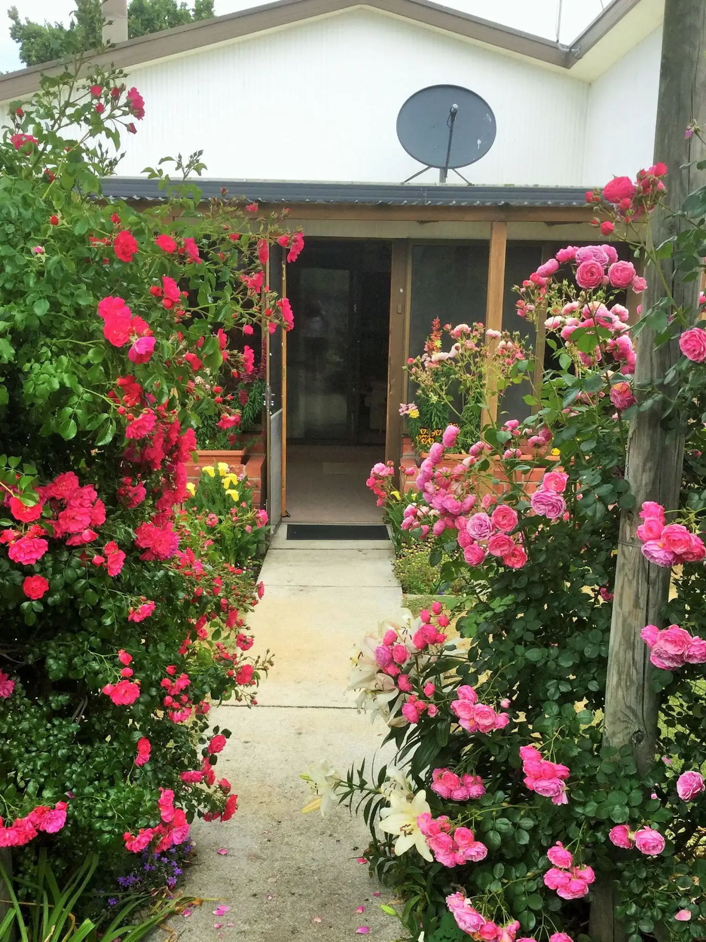 Main view of Homely house listing, 26 Tully Street, St Helens TAS 7216