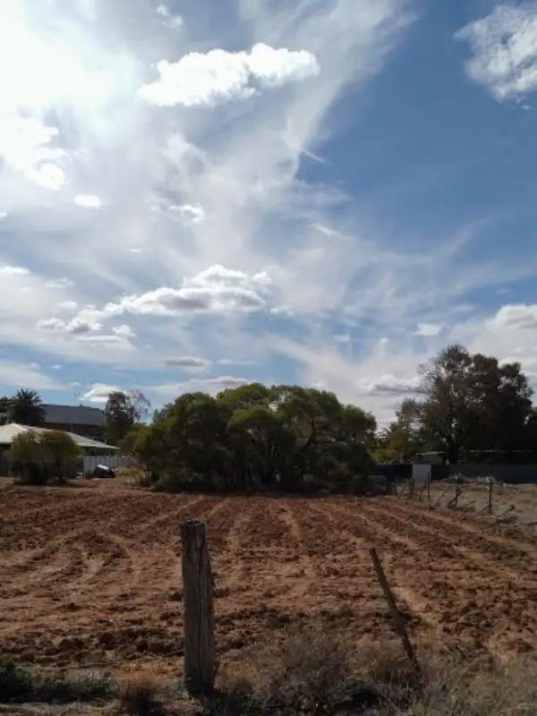 Main view of Homely land listing, 12 Donald Street, Nyah West VIC 3595