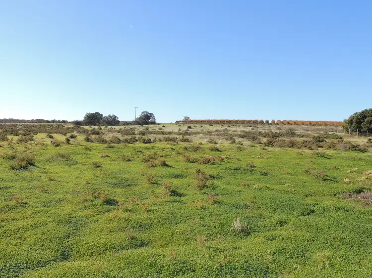 Main view of Homely land listing, Lot 7 Koraleigh Road, Tooleybuc NSW 2736