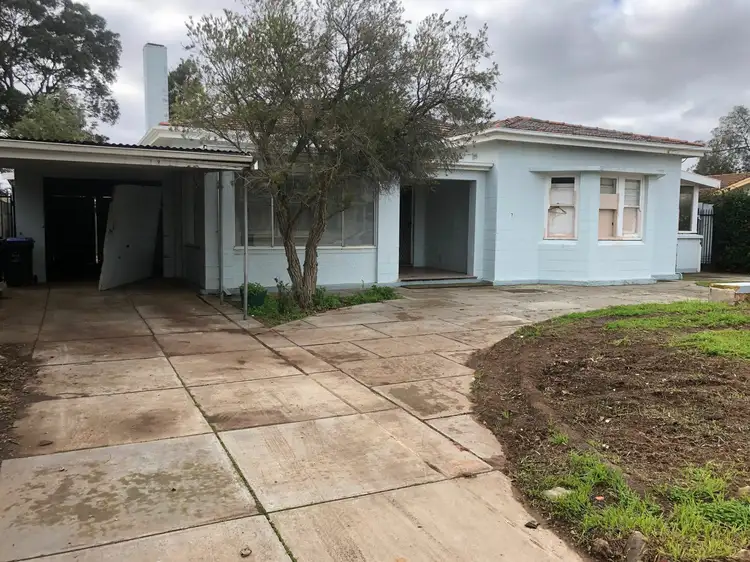 Fifth view of Homely house listing, 7 Whitney Street, Cheltenham SA 5014