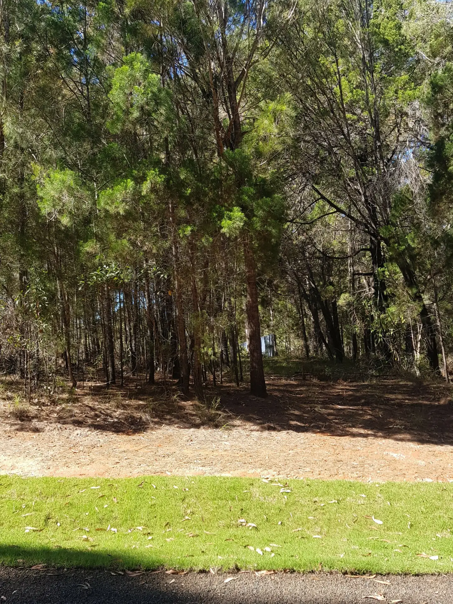 Main view of Homely land listing, 55 Mainview Drive, Russell Island QLD 4184
