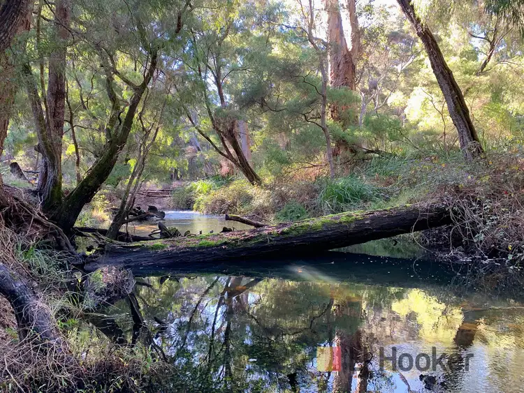 Sixth view of Homely house listing, Lot 9700 Rainbow Trail, Pemberton WA 6260