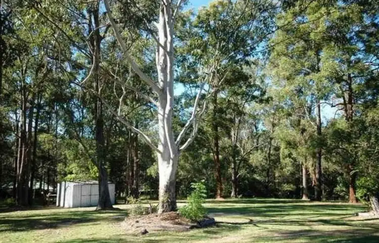 Fourth view of Homely house listing, 18 Carrama Court, Mudgeeraba QLD 4213