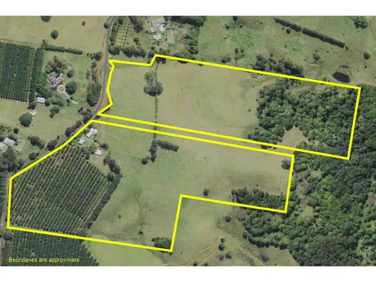 Main view of Homely rural property listing, 639 Tregeagle Road, Tregeagle NSW 2480