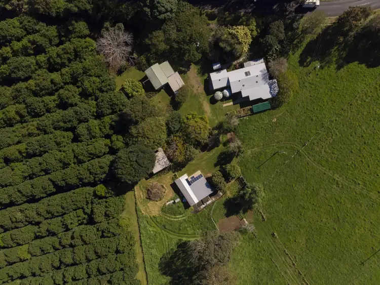Fourth view of Homely rural property listing, 639 Tregeagle Road, Tregeagle NSW 2480