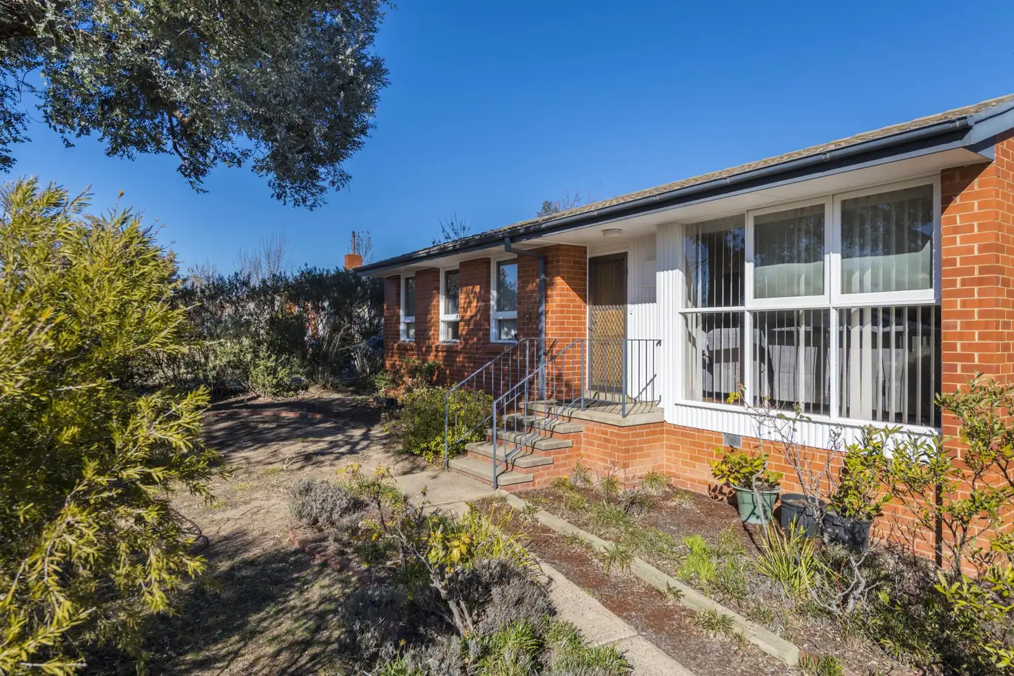 Main view of Homely house listing, 24 Jefferis Street, Torrens ACT 2607