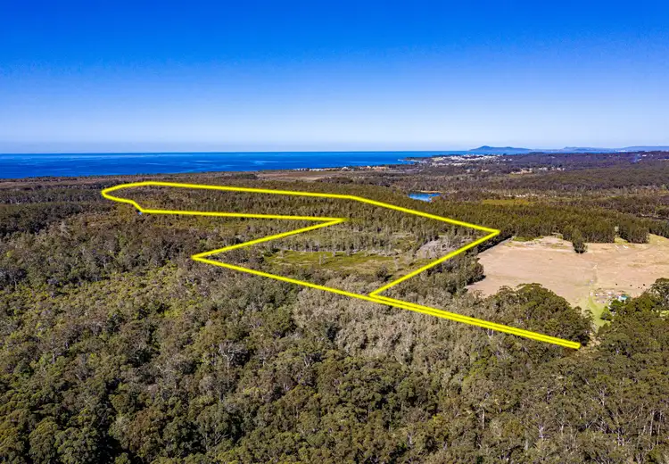 Second view of Homely rural property listing, 555 Follies Road, Old Bar NSW 2430