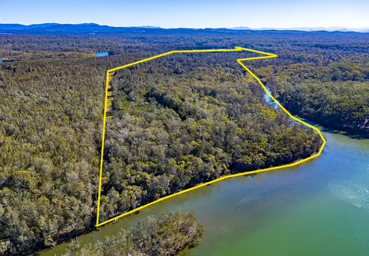Third view of Homely rural property listing, 555 Follies Road, Old Bar NSW 2430