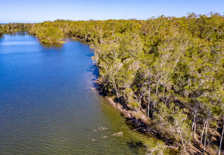 Fifth view of Homely rural property listing, 555 Follies Road, Old Bar NSW 2430