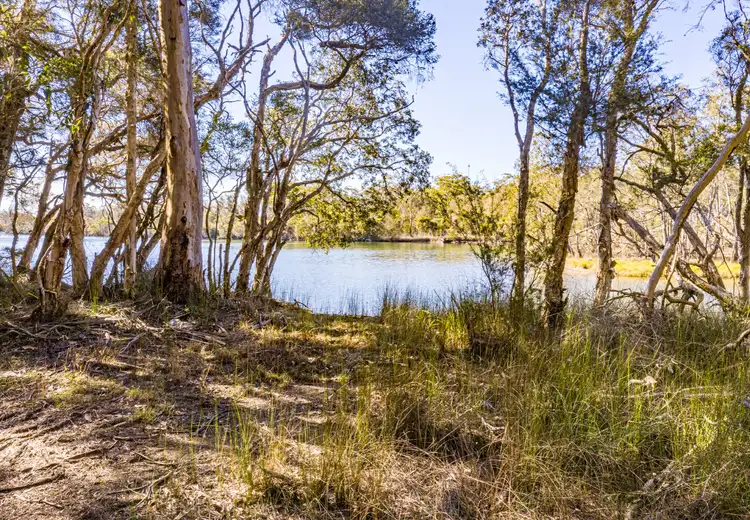 Seventh view of Homely rural property listing, 555 Follies Road, Old Bar NSW 2430