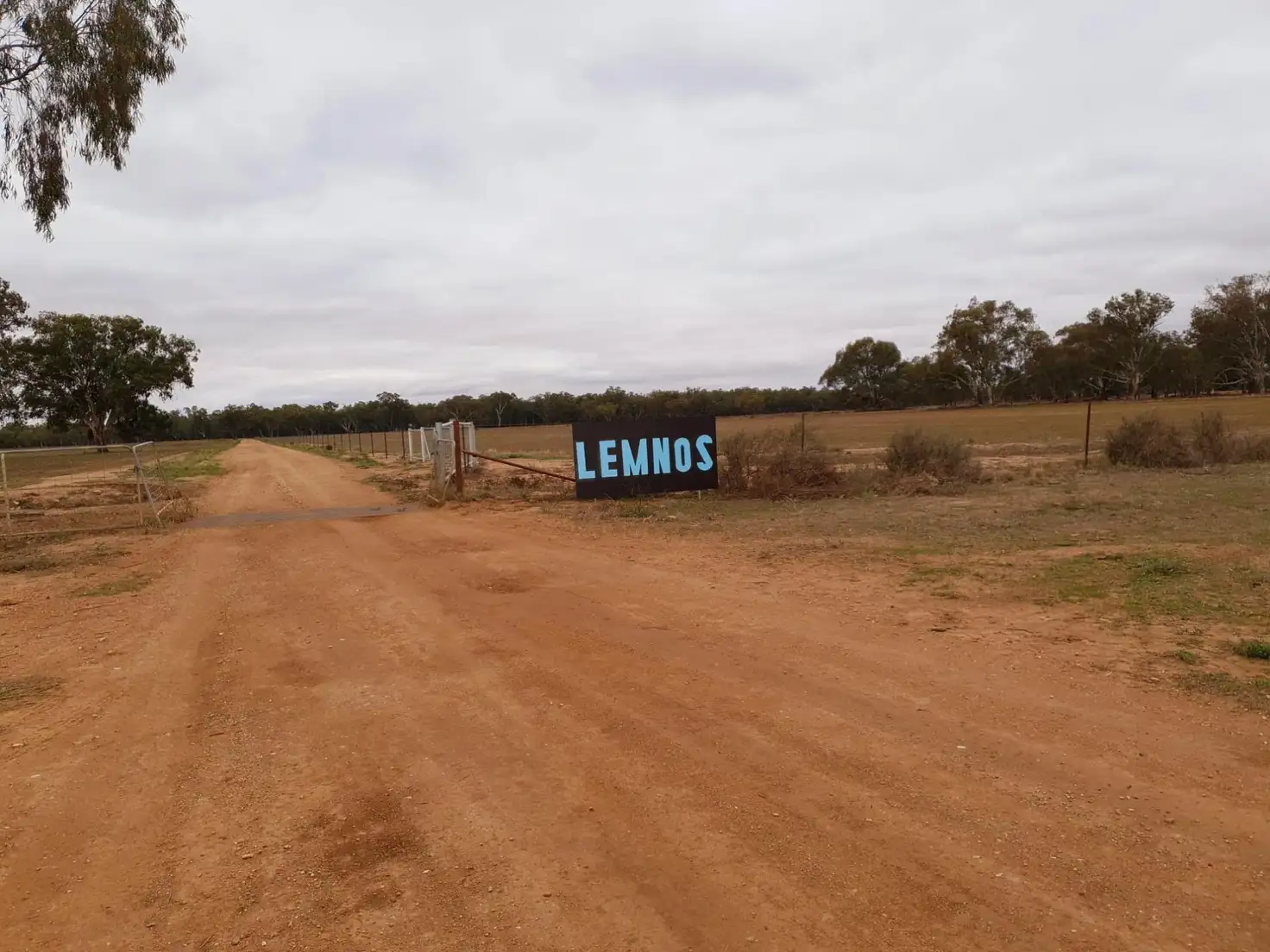 Main view of Homely rural property listing, 981 North Forbes Rd, Condobolin NSW 2877