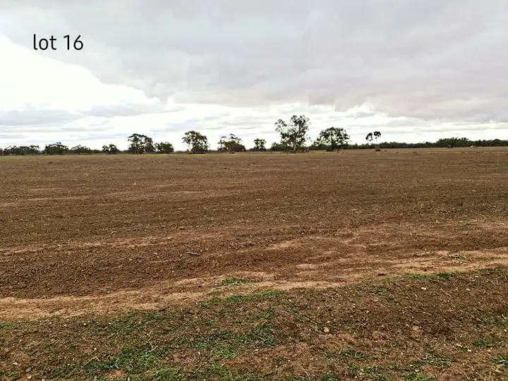 Second view of Homely rural property listing, 981 North Forbes Rd, Condobolin NSW 2877