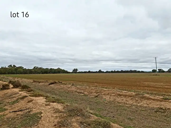 Third view of Homely rural property listing, 981 North Forbes Rd, Condobolin NSW 2877