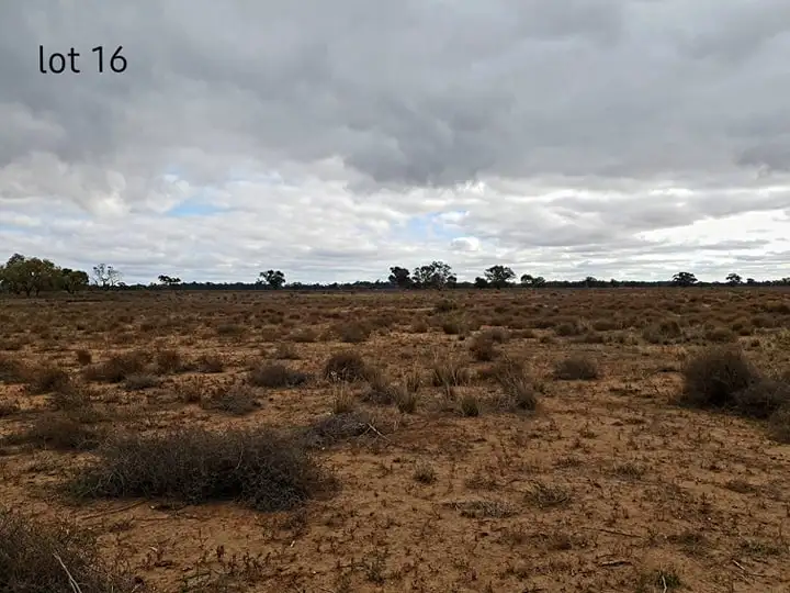 Fourth view of Homely rural property listing, 981 North Forbes Rd, Condobolin NSW 2877