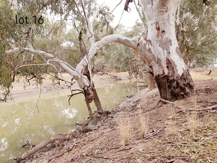 Sixth view of Homely rural property listing, 981 North Forbes Rd, Condobolin NSW 2877