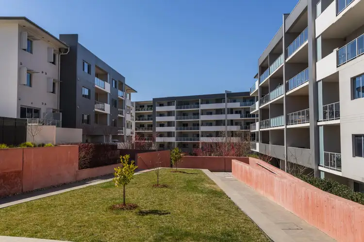 Second view of Homely apartment listing, 11/40 Philip Hodgins Street, Wright ACT 2611